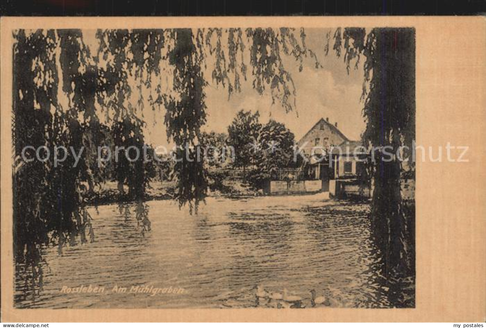 Rossleben Am Muehlgraben