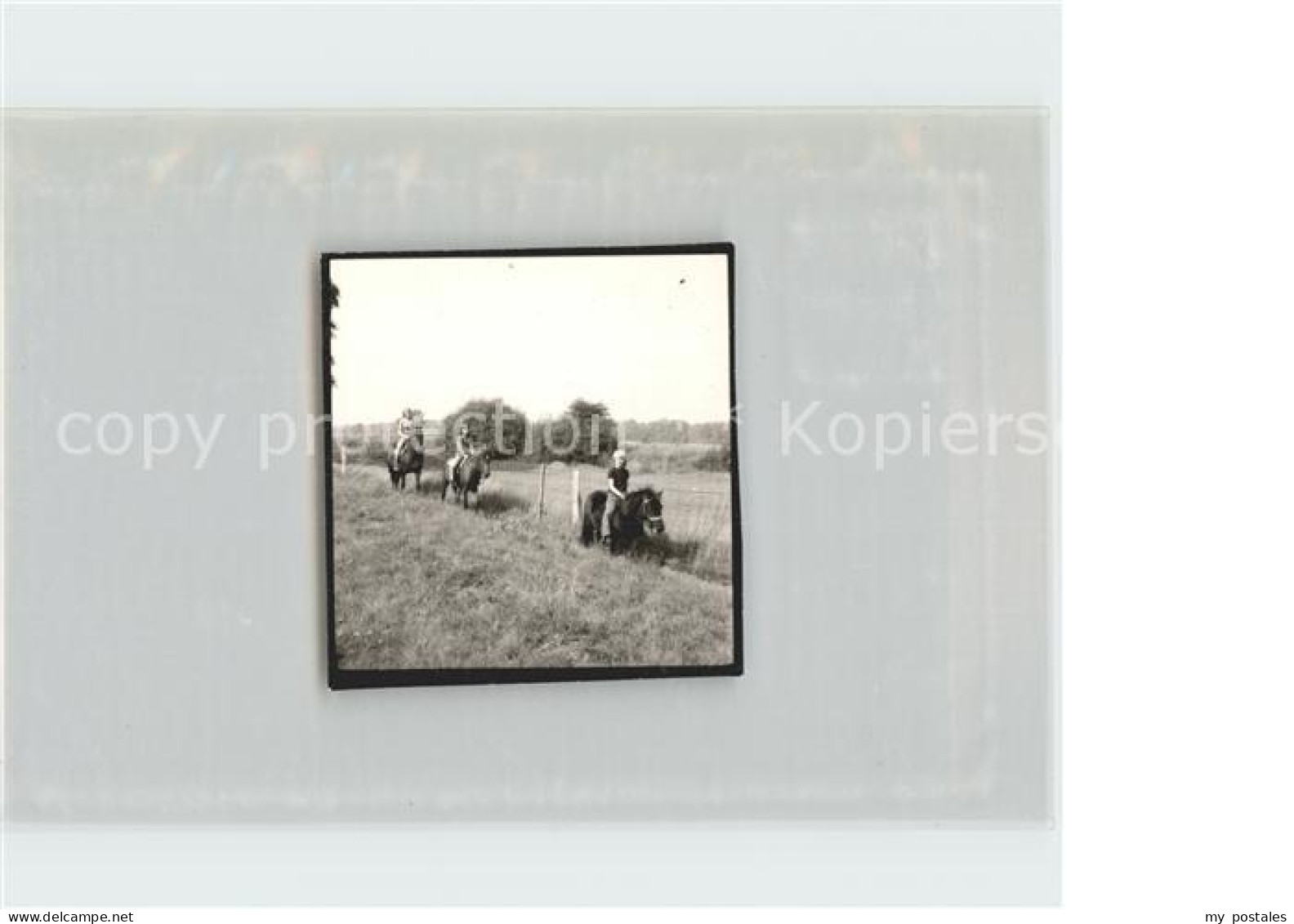 Rotenburg Wuemme Reiter