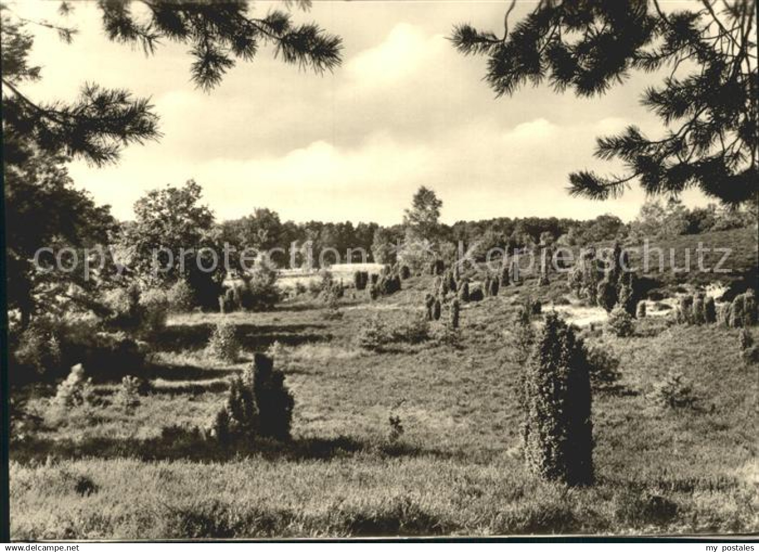 Rotenburg Wuemme Rotenburger Heide