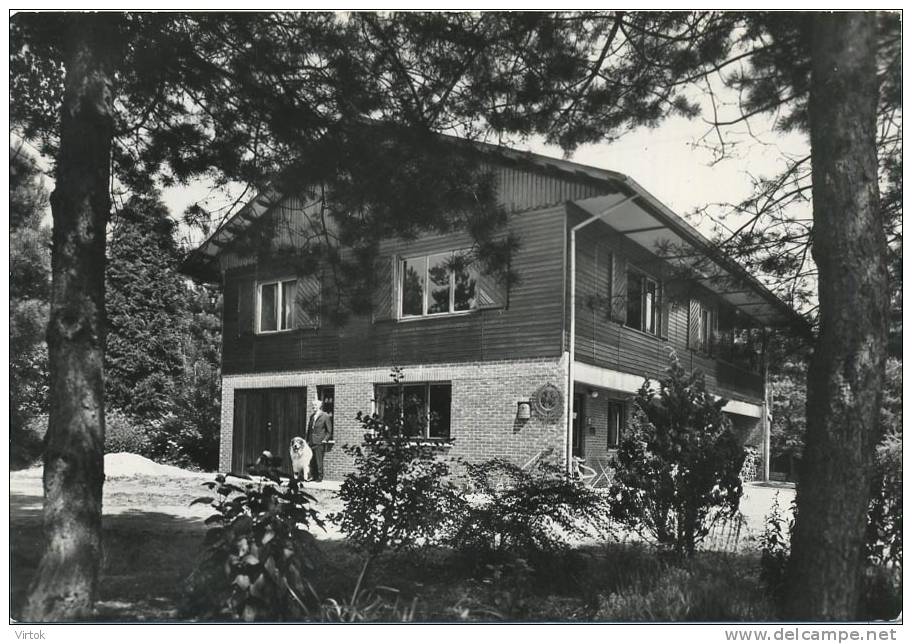 Rotselaar :  Villa  ' EL SOL '  woonstede  van Prof. P. Bouts          ( groot formaat )