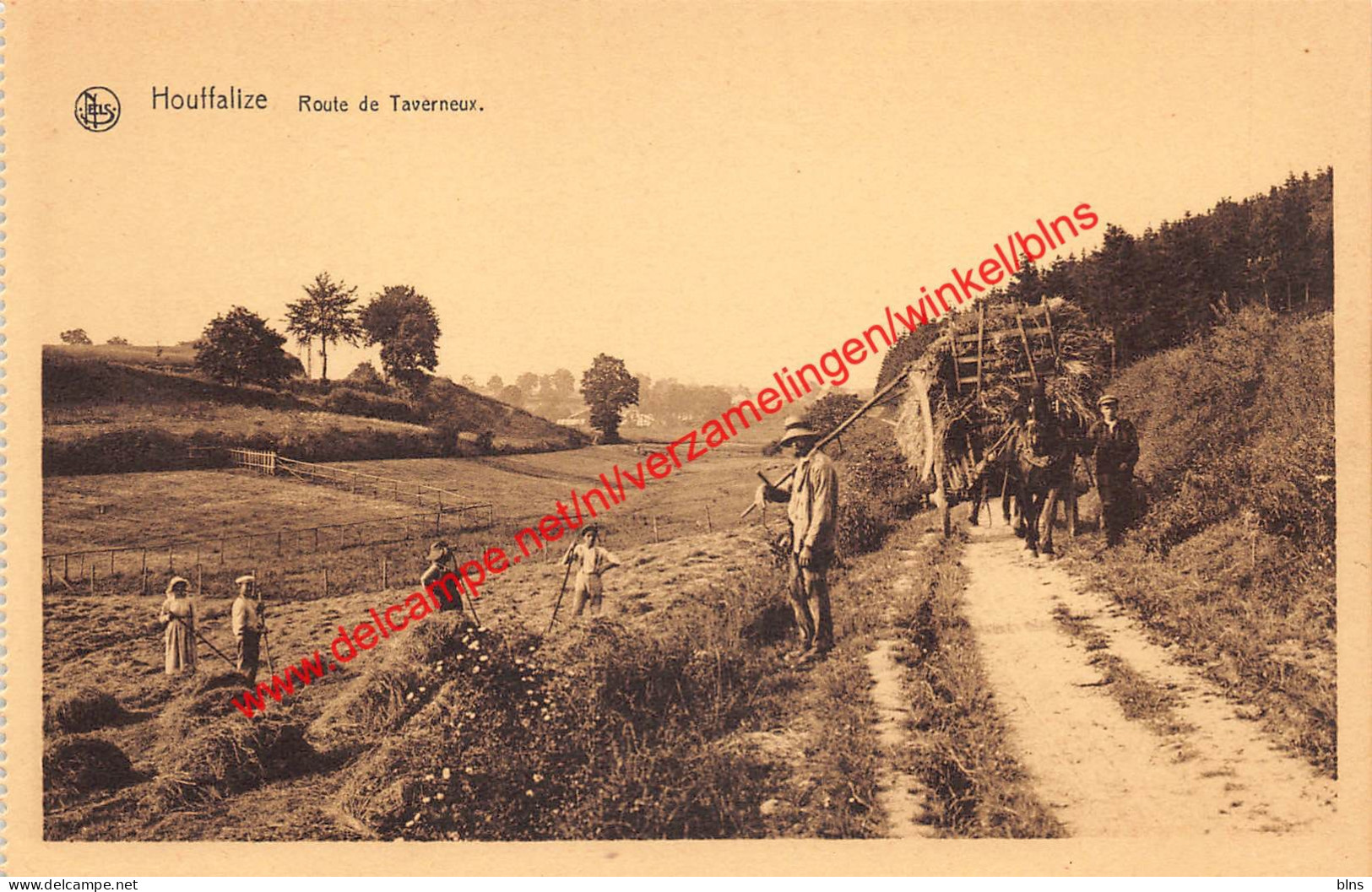 Route de Taverneux - Houffalize