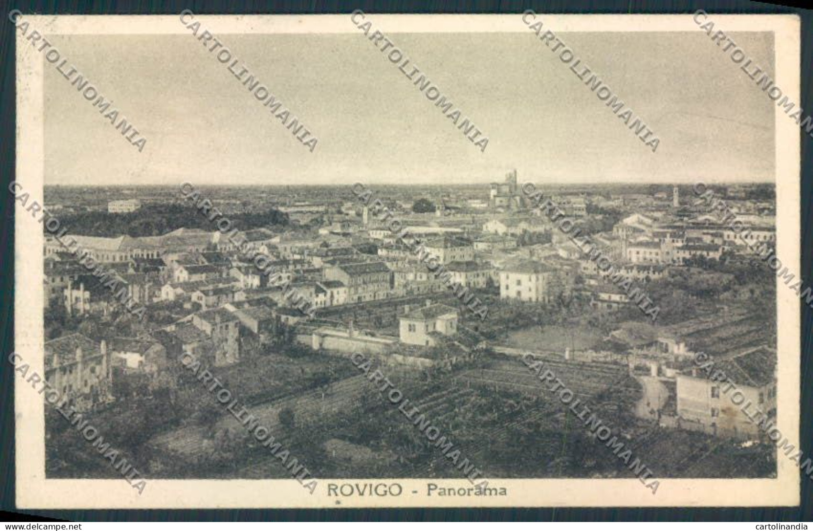 Rovigo Città cartolina MV4776