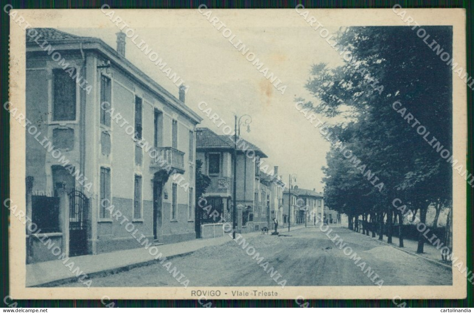 Rovigo Città cartolina QT1789