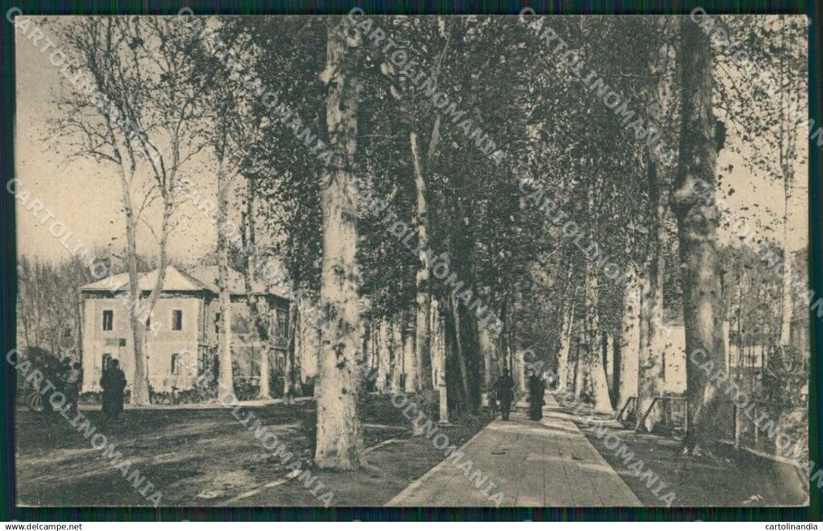 Rovigo Città cartolina QT1790
