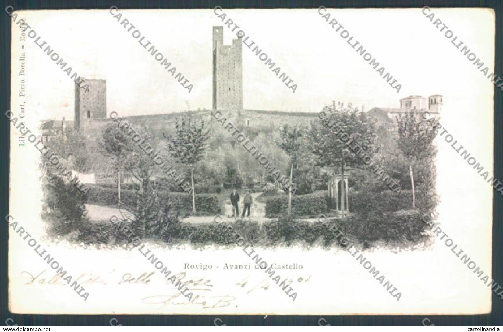 Rovigo Città cartolina ZQ1703