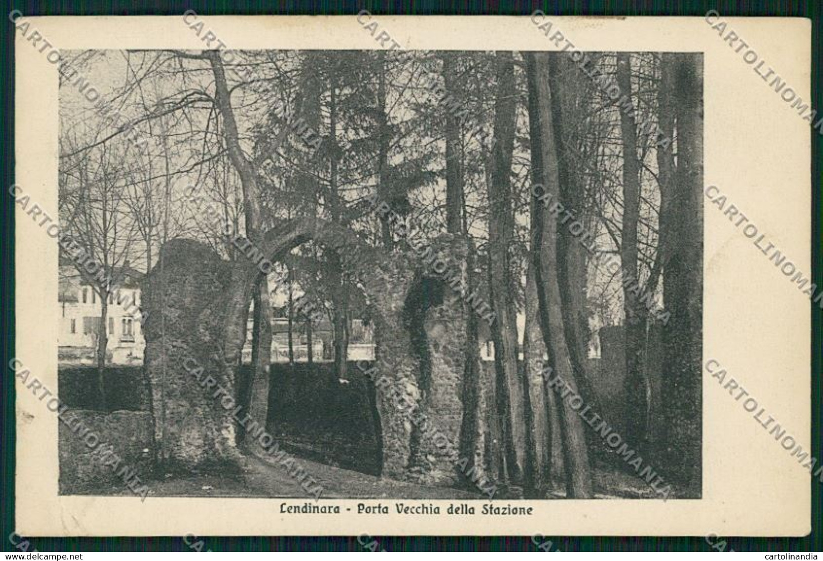 Rovigo Lendinara cartolina QK2269