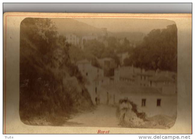 ROYAT  PHOTOGRAPHIE ANIMEE