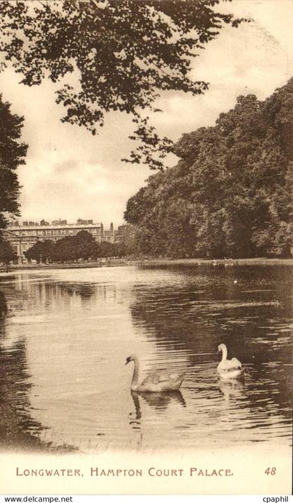 Grande Bretagne Great Britain CPA Longwater Hampton Court palace (cygnes swan)
