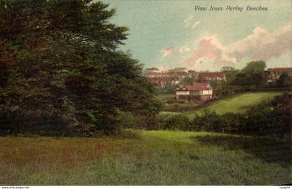 Grande Bretagne Great BRitain CPA View from Purley Beeches