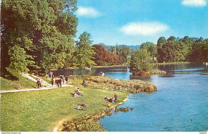 CPM Swanbourne Lake Arundel