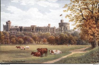 Windsor Berkshire Castle Kuehe