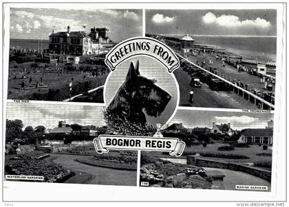 Carte Postale Ancienne de BOGNOR REGIS