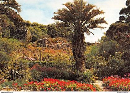 BR75685 tresco gardens    isles of scilly   uk