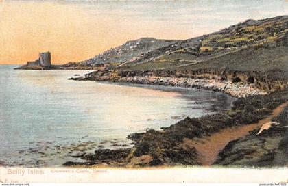 uk15040 cromwells castle tresco scilly isles uk