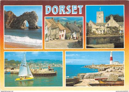 uk46362 dorset uk