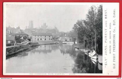 CAMBRIDGE  ELY    ADVERT FOR  ELY JAMS