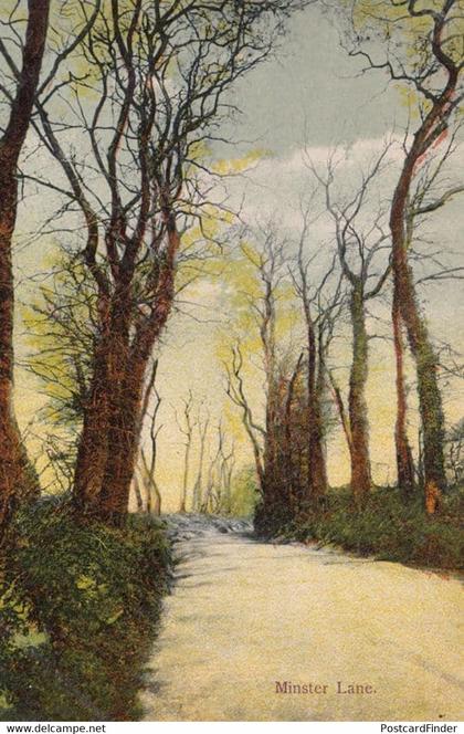 Winchester Minster Lane Barrow In Furness Antique Old Postcard