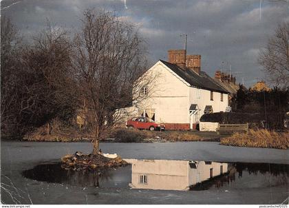 Lot240  uk woolmer green pond Hertfordshire
