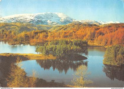 uk6141 waterlam mountain tarn hows lancashire uk