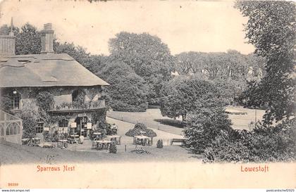 lot399   Lowestoft sparrows nest uk
