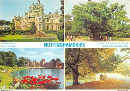 uk48659 nottinghamshire uk