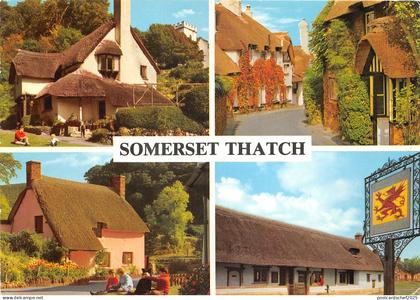 uk47348 somerset thatch  uk