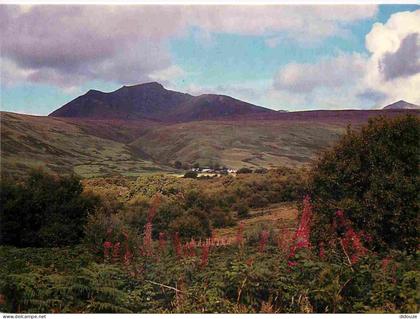 Carte Postale - Ecosse - Beinn tarsuinn - North Ayrshire - CPM - Voir Scans Recto-Verso
