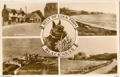 SCOTLAND  WEST LOTHIAN  BLACKNESS RP MULTI VIEW  + SCOTTISH TERRIER SCOTTIE DOG ANIMAL