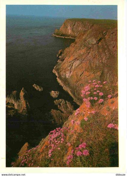 Carte Postale - Ecosse - Wigtownshire - Galloway - Scotland - Escocia - CPM - Voir Scans Recto-Verso - Poscard - Carta P