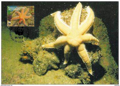 Alderney : CM Carte Maximum WWF vie marine etoile de mer Luidia ciliaris starfish siebenarmiger seestern