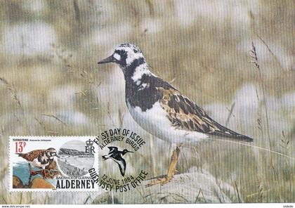 Maximum Card   Alderney Bird Turn Stone . Oiseau Tournepierre