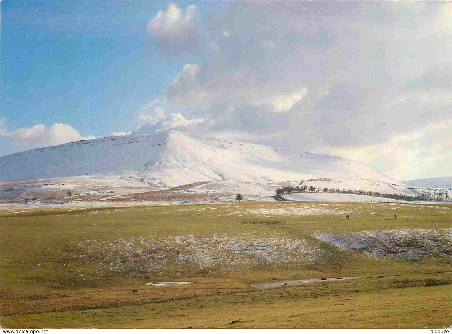Royaume-Uni - Pays de Galles - Hay-on-wye - Hay bluff - Powys - Wales - CPM - Voir Scans Recto-Verso