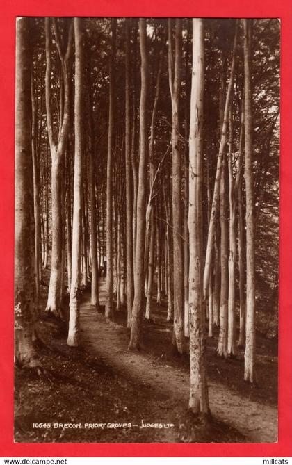 BRECONSHIRE    BRECON   PRIOTY GROVES   FRED JUDGE RP