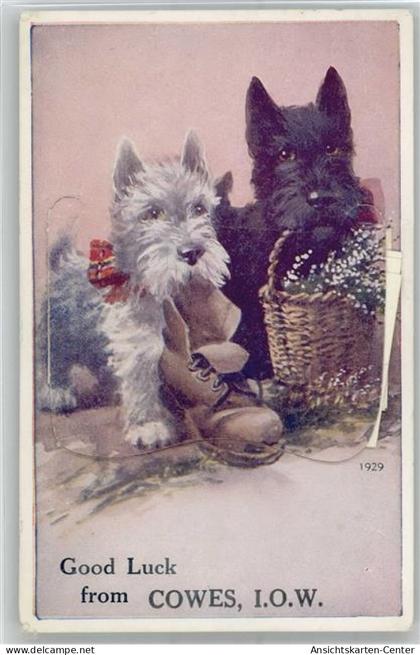 51131419 - East Cowes