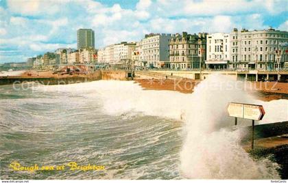 Brighton East Sussex Rough see at Brighton