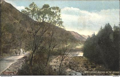 Keswick Borrowdale Beeches
Derwent