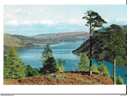 CP AMBLESIDE