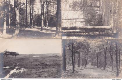 Lake District & Barrow In Furness Forest 8x Antique Postcard s