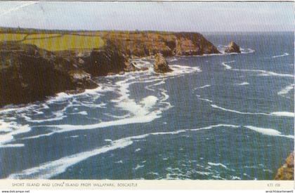 Boscastle, Short Island amd Long Island from Willapark gl1959 #F9473
