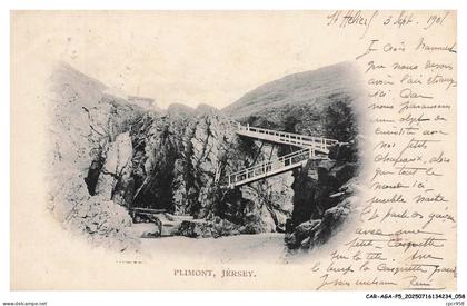 CAR-AGAP5-0221-ROYAUME-UNI - ILES DE LA MANCHE - JERSEY - Plimont