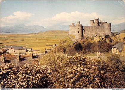 B87317 harlech castle gwynedd wales