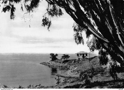 RUANDA-URUNDI Kisenyi le lac Kivu   (scan R/V) n° 44 \ PC1229