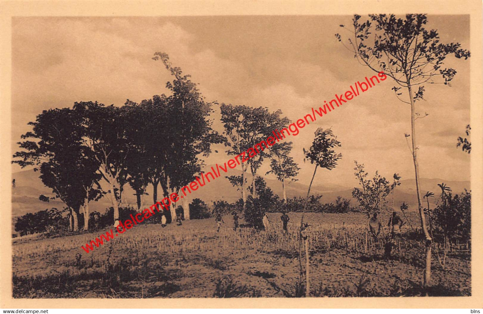 Ruanda - Environs d'Astrida