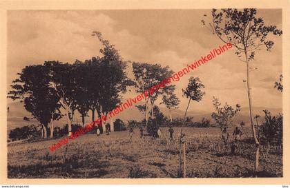 Ruanda - Environs d'Astrida