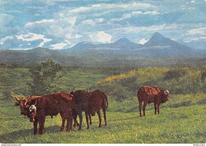 RWANDA KIGALI RUANDA URUNDI