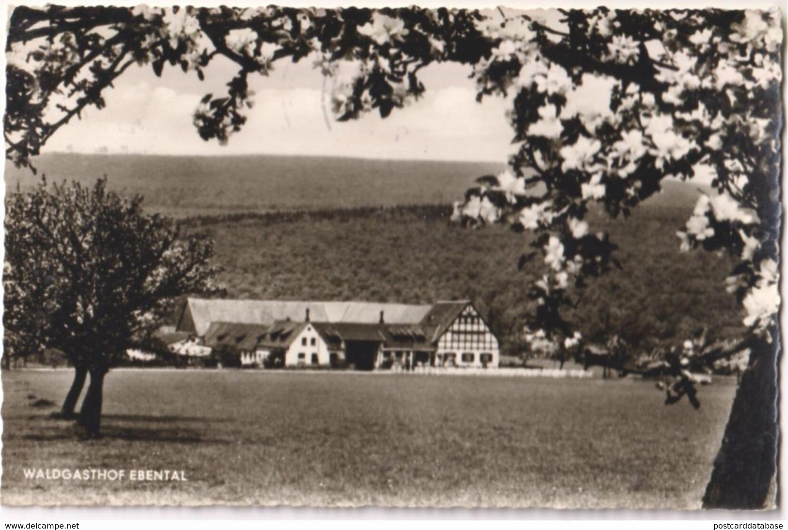 Rüdesheim a. Rh. - Waldgasthof Ebental