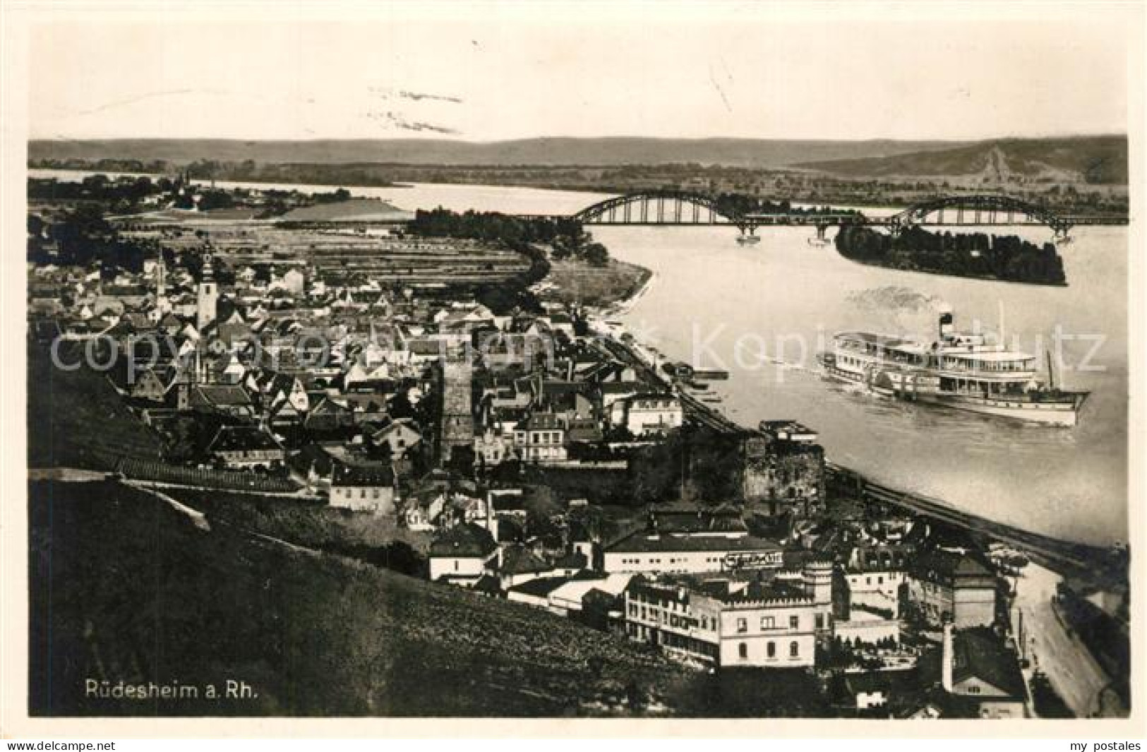 Ruedesheim Rhein Panorama