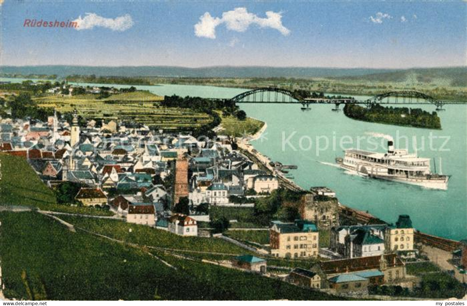 Ruedesheim Rhein Panorama