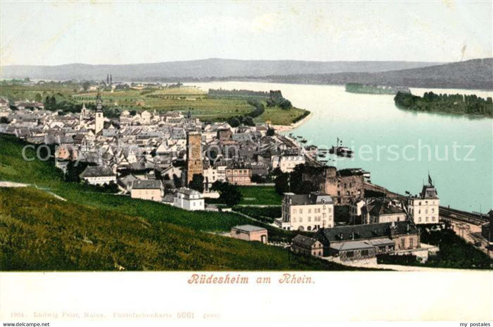 Ruedesheim Rhein Panorama