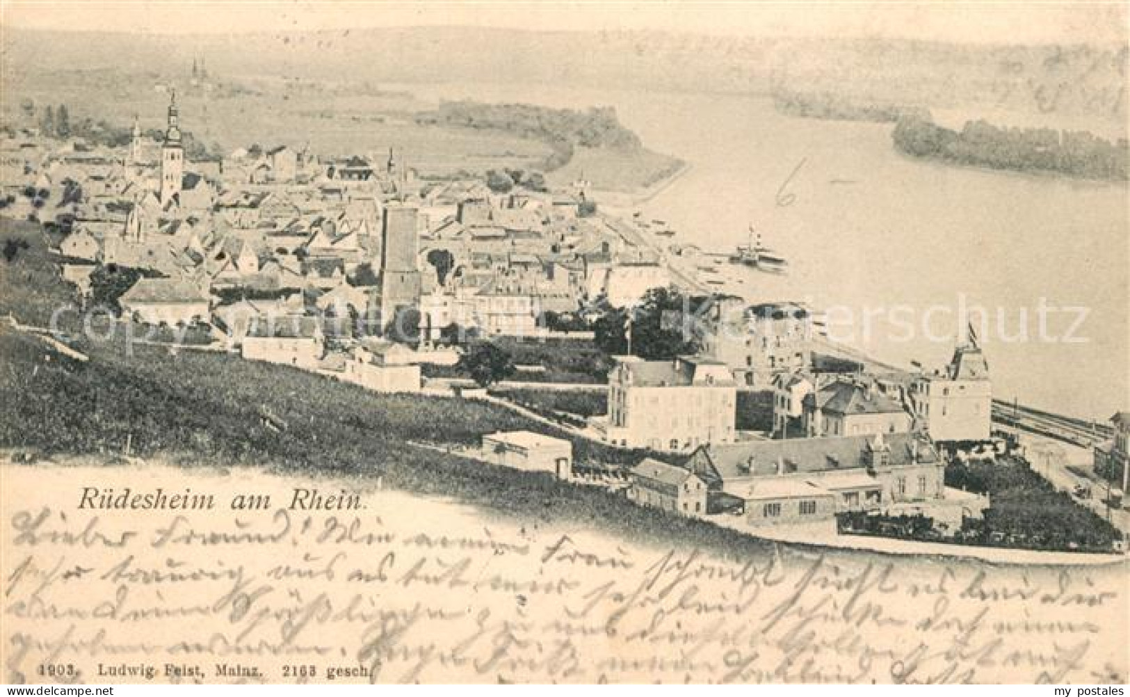 Ruedesheim Rhein Panorama